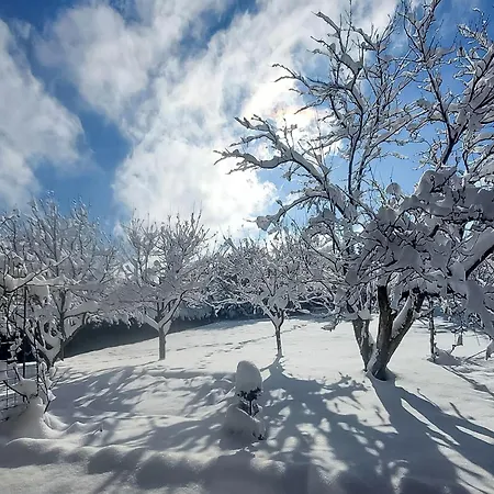 Relax & Play By Interhome بيت للعطل Cabar