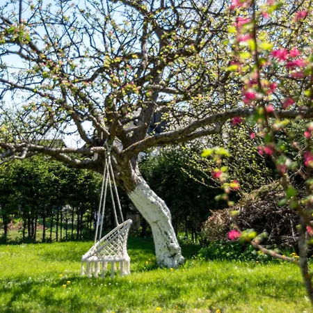 Casa vacanze Relax & Play By Interhome Cabar