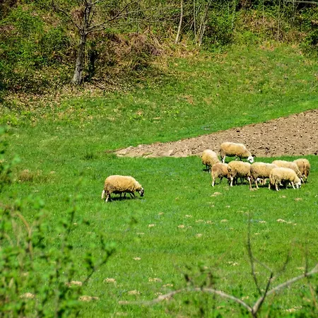 Relax & Play By Interhome